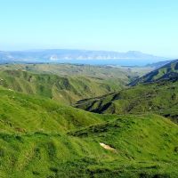NZ#31: Wanderung in Neuseeland - der Mahia Scenic Reserve Track auf der Mahia Peninsula